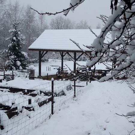 Agroturystyka U Maciejowej Villa ลันซ์โคโรนา ภายนอก รูปภาพ
